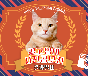 [주민모임 발굴 및 지원사업] 보듬이 주민모임과 함께하는 길고양이 사진 공모전 결과 발표 이미지