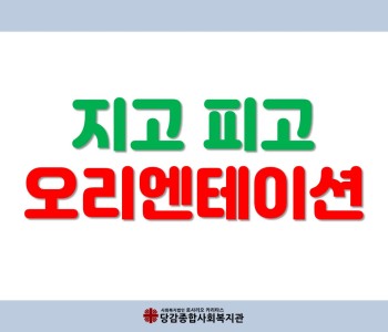 [지고피고] 꽃과 함께 하는 우리의 오리엔테이션 이미지