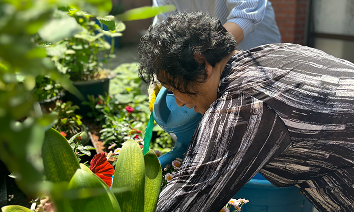 당감이 그린 초록별